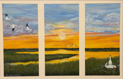 Where the Marsh Remembers
