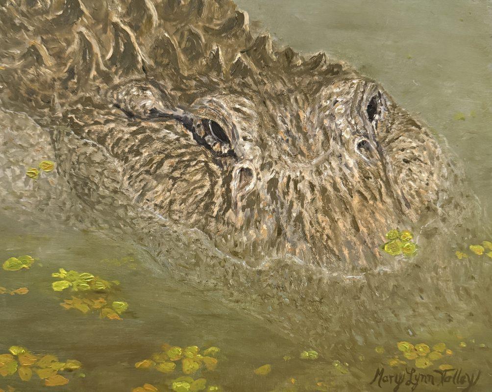Stealth Alligator in murky water