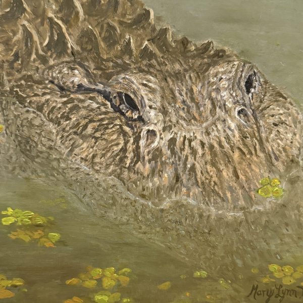 Stealth Alligator in murky water